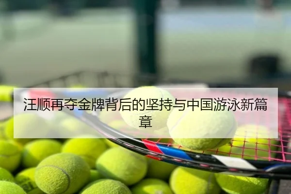 汪顺再夺金牌背后的坚持与中国游泳新篇章