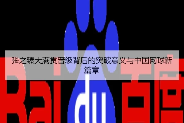张之臻大满贯晋级背后的突破意义与中国网球新篇章