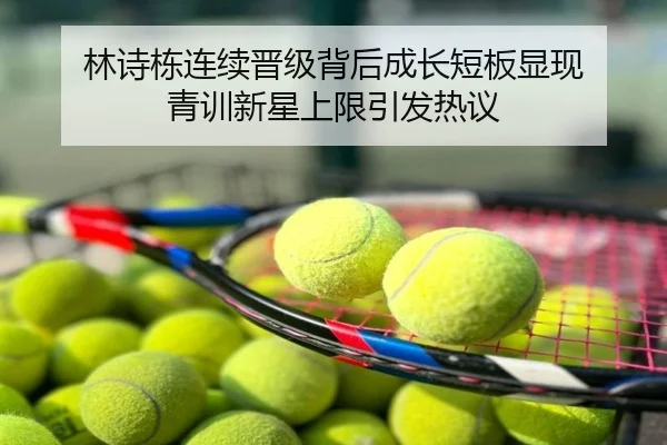 林诗栋连续晋级背后成长短板显现 青训新星上限引发热议