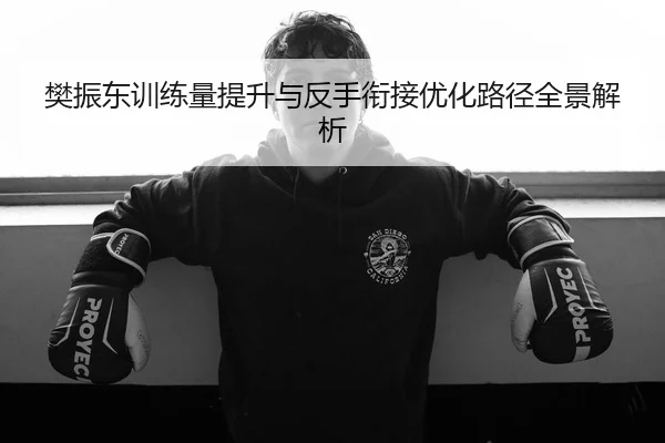 樊振东训练量提升与反手衔接优化路径全景解析